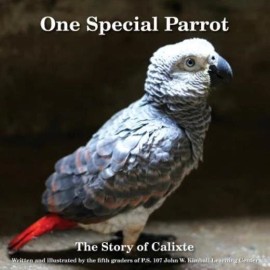 One Special Parrot: The Story Of Calixte