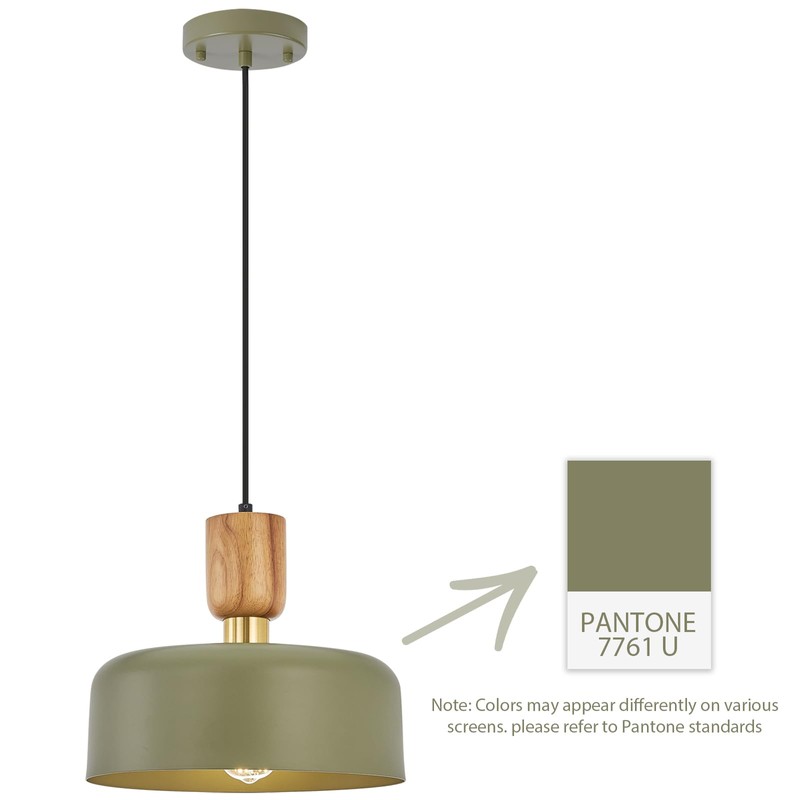 Contemporary Pendant Lighting,12 inch Pendant Lamp,Wood and Brass Accent,Adjustable Metal