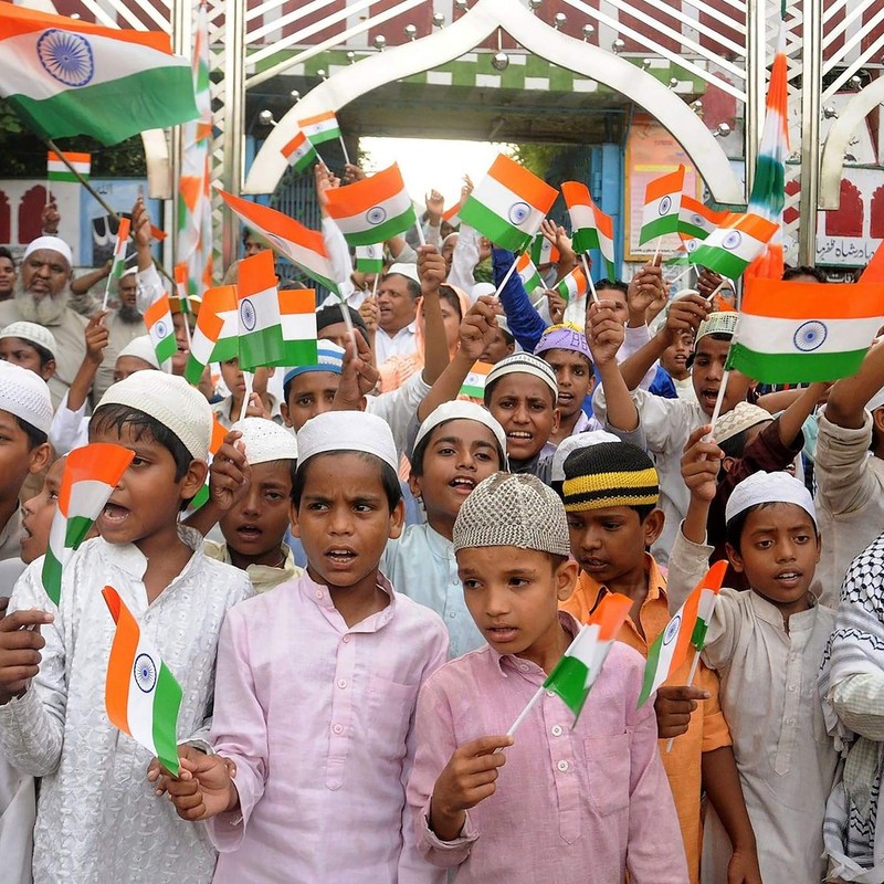 Anley India Mini Flag 12 Pack - Hand Held Small
