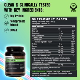 BODi Recover Whey Protein Powder Blend– Post-Workout Chocolate Whey Supplement for Muscle Recovery with 20g Protein, BCAAs, Pomegranate Extract - Fast Recovery - 20 Serving Tub