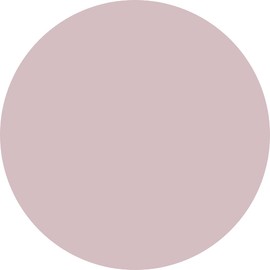 PREANFA PGU-S373 PREGEL Muse Color Gel Fit Skin 0.1 oz (3 g)