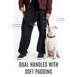 2025 New Edition, Fei and Eve Heavy Duty Dog Leash with Reinforced Swivel Hook, 2 Comfortable Padded Handles, Chew Proof, Suitable for Large, Medium and Small Breed Dogs - 4FT - Black