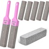 Bimsstein Toilettenreiniger Toilette mit 2 Griffe, Austauschbar Pumice Stone for