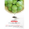 Plum Foods [Plum Extract (Kneaded) / 2.0 oz (55 g)