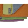 AC Duoweb Microfibre Dish Cloths Set of 4