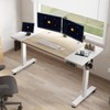 Electric Standing Desk,55 x 24 Inches Height Adjustable Stand Up