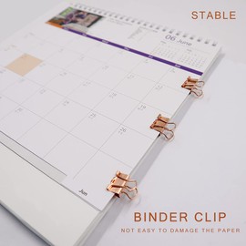 LELE LIFE Same Size Rose Gold Binder Clips, 60Pack Mini Paper Clamps, Rust-Proof File Paper Money Clamps, Binder Paper Clips for Office Home School, 0.59in 15mm