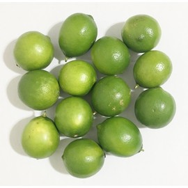 5 Lb Fresh Persian Limes, Pack of 1