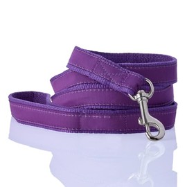 Pet Passion Recycled Ribbon Dog Leash 7 Ft. for All Pet Breeds, Purple, One Size
