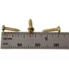 C. B. Gitty 100pc. #2 x 3/8ths-inch Brass-plated Phillips Round