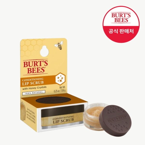 Burt's Bees Conditioning Lip Scrub 7.08g / 버츠비 컨디셔닝 립
