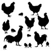 SUPERDANT Chicken Wall Decals Poultry Silhouette Wall Sticker Rooster and
