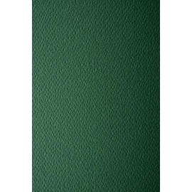 Netuno 10 x Coloured Cardboard, Fir Green, Textured on One Side, DIN A4, 210 x 297 mm, 220 g, Prism Pino Textured Card for Christmas Invitations, Business Cards, Diplomas for Drawing, Crafts,