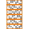 Jumbo Bingo Tickets pads 6 to view (Orange)
