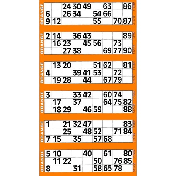 Jumbo Bingo Tickets pads 6 to view (Orange)