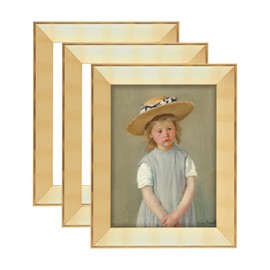 Expositions Open-Back Picture Frames for Paintings, Photos & Prints - with Gold, Set of 3 16x20" - Gallery Wall Frame - Eco-Friendly Renewal Core - Made in USA