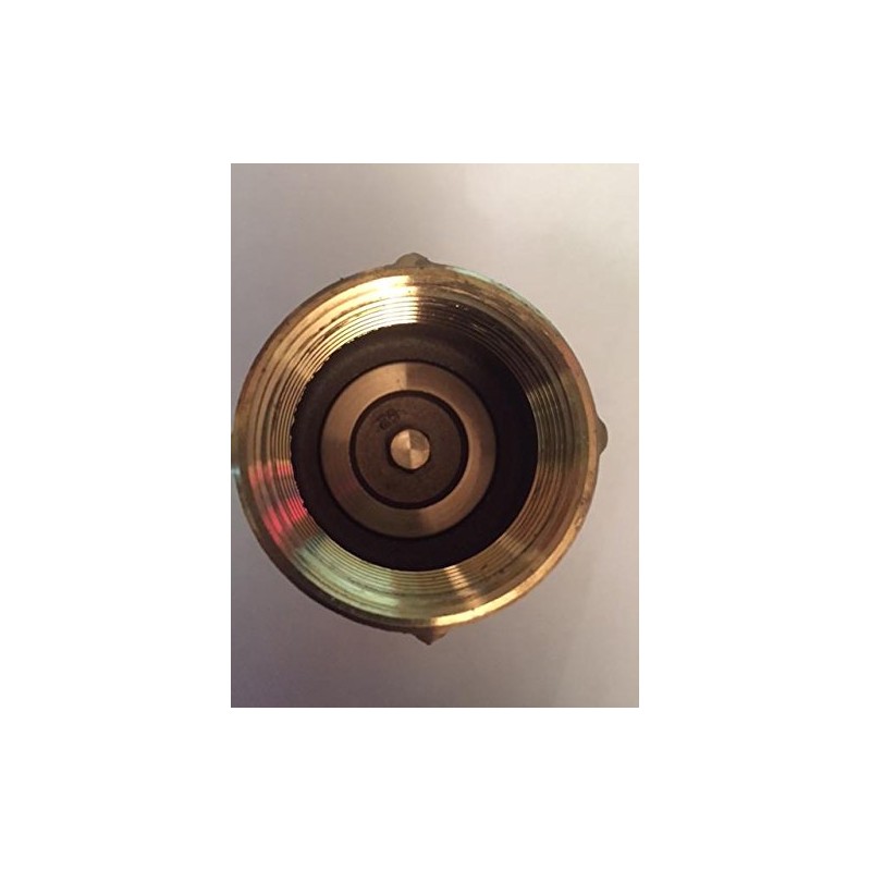 1-1/2 in. Brass Check Valve