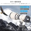 52mm Low Center of Gravity Ball Head Double Panoramic Pan