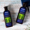 Tresan Horsetail Shampoo for Thin and Weak Hair | Daily