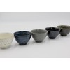 Waraku Fuuka Japanese Traditional Handcrafted Green Tea Chawan Drinking Tea