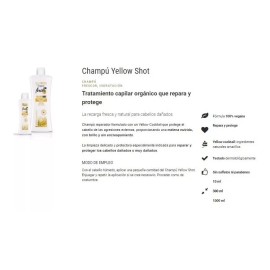 Salerm Shampoo Salerm Biokera Yellow Shot 300ml