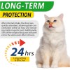 ALIVO 2 oz Natural Antibiotic Cats Pet Supplement Supports Immune