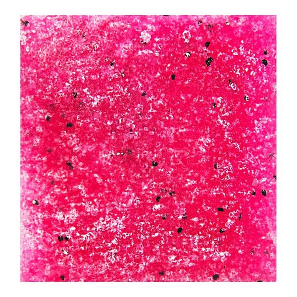 Anihana Sugar Scrub Bar - Raspberry & Vanilla - 100gm
