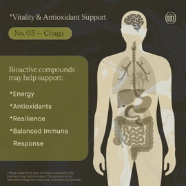 UPHORIC URTH Chaga Mushroom Extract - Double Extracted Fruitbody Mushroom Tincture, Antioxidants, Hair, Skin, Nails Health (60 Servings)