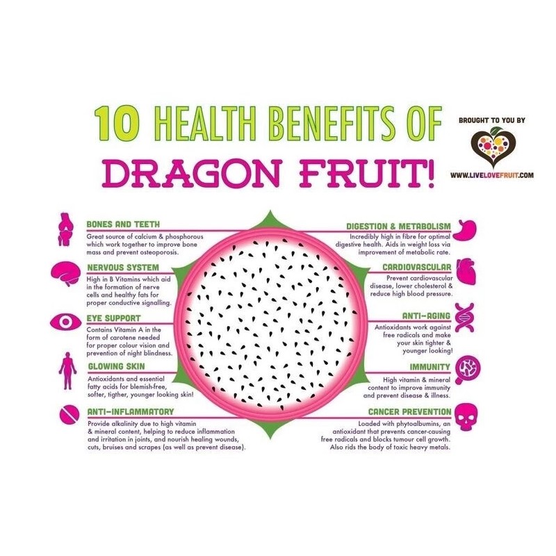 Cactus 50 White 50 Red Dragon Fruit Seeds Pitaya Pitahaya