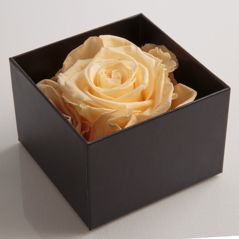 Infinity Rose Preserved Rose Box I Love You Gift for
