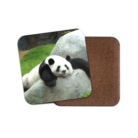 1 x Adorable Panda Bear Cork Backed Drinks Coaster - Bears Animal Kids #8307