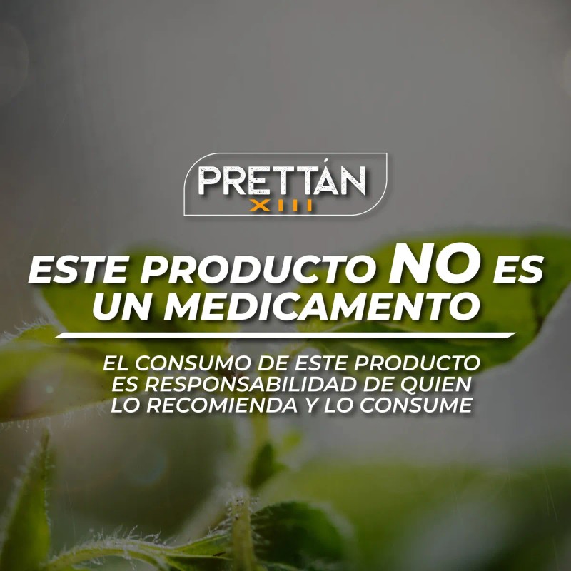 Suplemento en comprimidos Prettan XIII Nutricionales Melena de León de