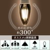 アイリスオーヤマ LED電球 フィラメント シャンデリア球 口金直径12mm 25W形相当 電球色 全配光 密閉器具対応 クリア