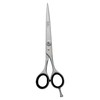 SANDBROS 7 INCH Professional Hairdressing Scissors Barber Hair Cutting Salon