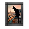 CUADRO DECORATIVO DE MADERA GATO NEGRO PARADO EN BALCON DE PARIS