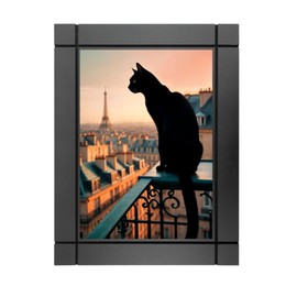 CUADRO DECORATIVO DE MADERA GATO NEGRO PARADO EN BALCON DE PARIS