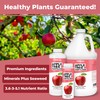 Apple Tree Fertilizer for All Apple, Pear, Nut and Fruit