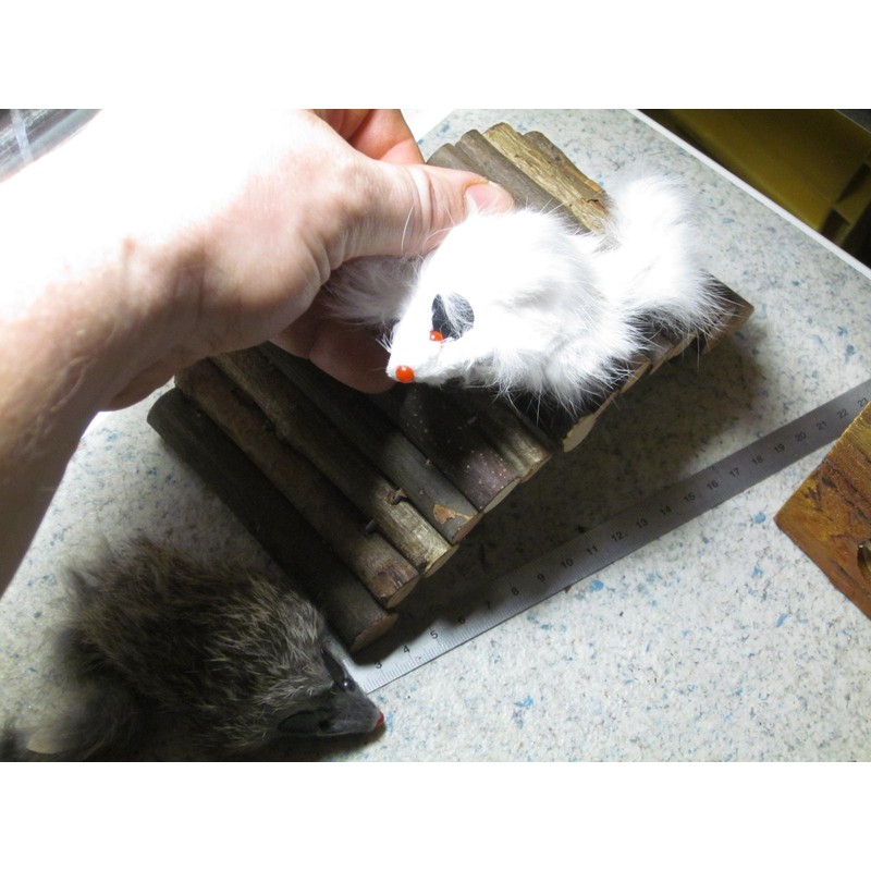 Wooden Bridge Hamster Mouse 22 x 10 cm