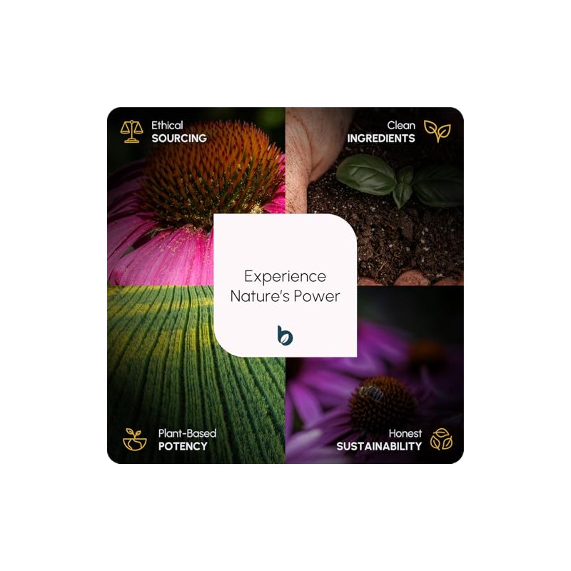 Rhodiola Rosea Capsules High Strength - 600mg 3% Rosavins 1%