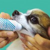 Taurus Domestic Dog Toothpaste Gel, 1.0 fl oz (30 ml)