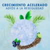Shampoo Sólido Árbol Verde Bergamota Cola Caballo 50g