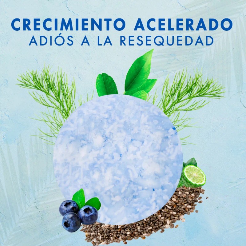 Shampoo Sólido Árbol Verde Bergamota Cola Caballo 50g