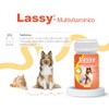 HOLLAND Lassy Multivitamínico 30 Tabs