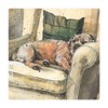 ALEX CLARK Walter Border Terrier Dog Fridge Magnet - Sleeping
