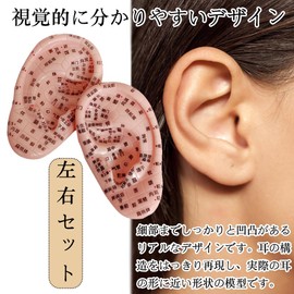 Wefitfix Ear Point Model 3.9 inches (10 cm), Set of 2 for Left and Right Ears, Pinnacle Chart, Point Position, For Beginners, Massage Courses, Schools, Home (Set of 2)