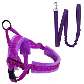 Lukovee Walking Dog Harness and Leash, Heavy Duty Adjustable Puppy Harness Soft Padded Reflective Vest Harness Anti-Twist 4FT Pet Lead Quick Fit Lightweight for Small Dog Cat (XX-Small, Purple)