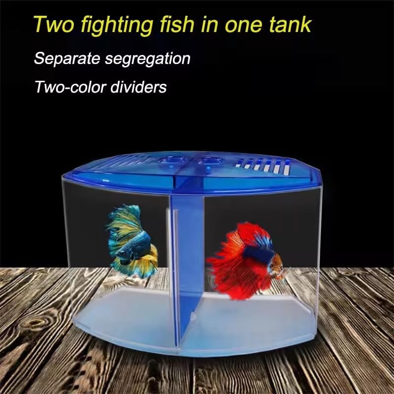 EatingBiting Large Double Compartment Fighting Fish Box Eco Rumble Fish