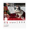 2025 Chihuahua Senryu (Weekly Turning) Calendar No. 025