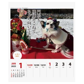 2025 Chihuahua Senryu (Weekly Turning) Calendar No. 025