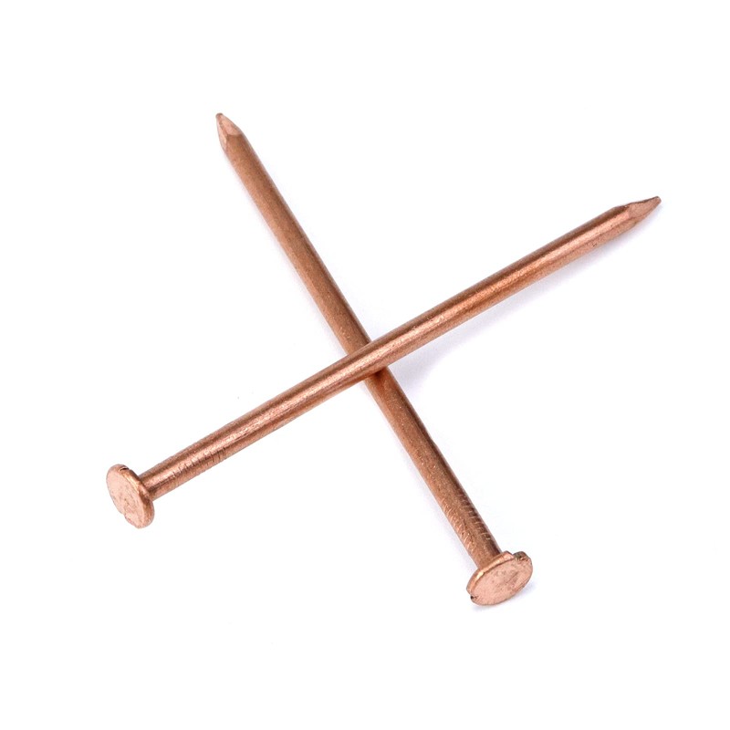 MY MIRONEY 10 Pack 4 Inch Copper Nails Solid Copper